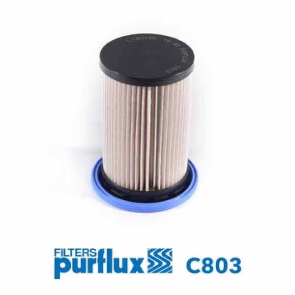 PURFLUX Filtro carburante