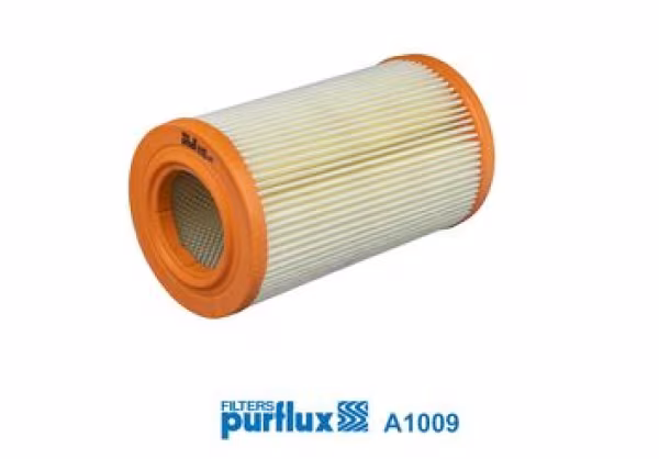 PURFLUX Filtro aria