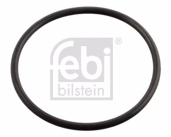 FEBI BILSTEIN Guarnizione, Termostato