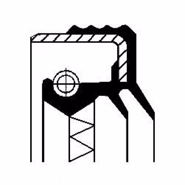 CORTECO Anello tenuta, Differenziale
