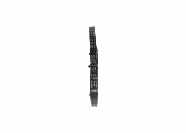 BOSCH Cinghia dentata
