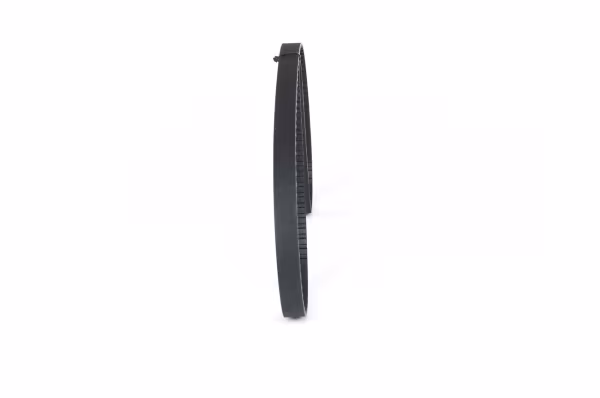 BOSCH Cinghia dentata