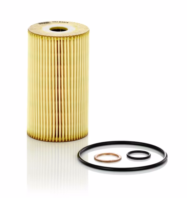 MANN-FILTER Filtro olio