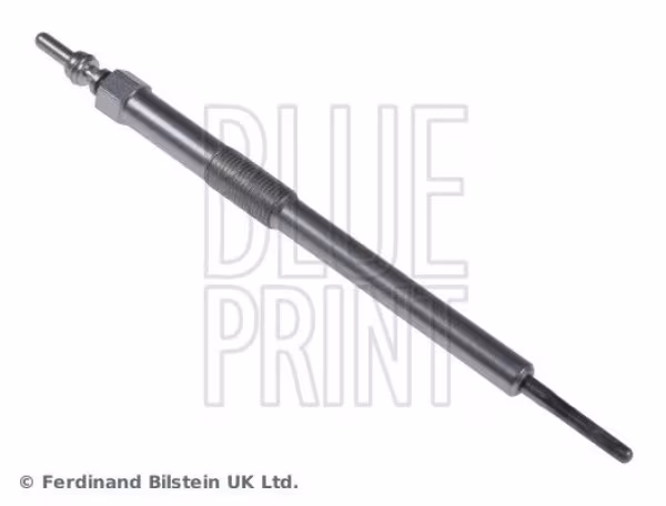 BLUE PRINT Candeletta