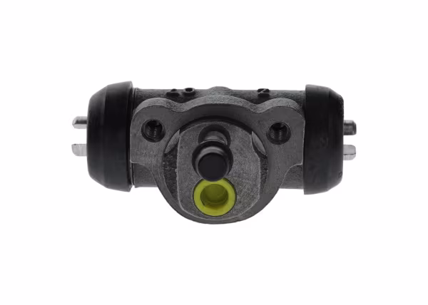 BOSCH Cilindretto freno