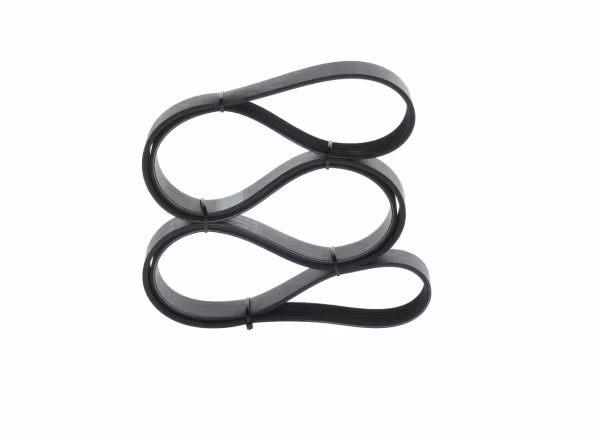 BOSCH Cinghia Poly-V