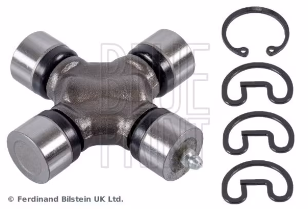 BLUE PRINT GIUNTO, ALBERO LONGITUDINALE