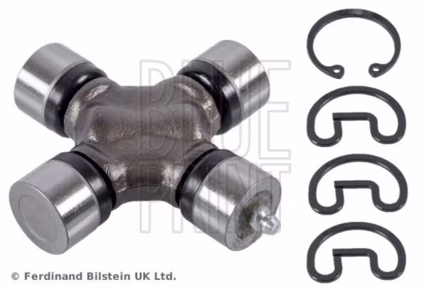 BLUE PRINT GIUNTO, ALBERO LONGITUDINALE