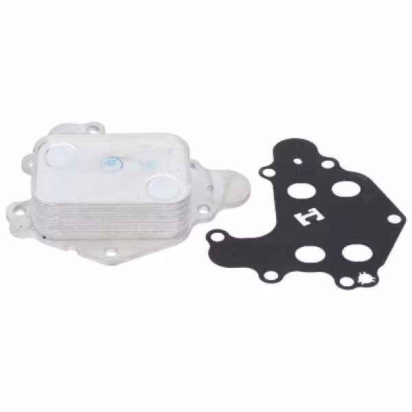 BIRTH Radiatore olio, Olio motore