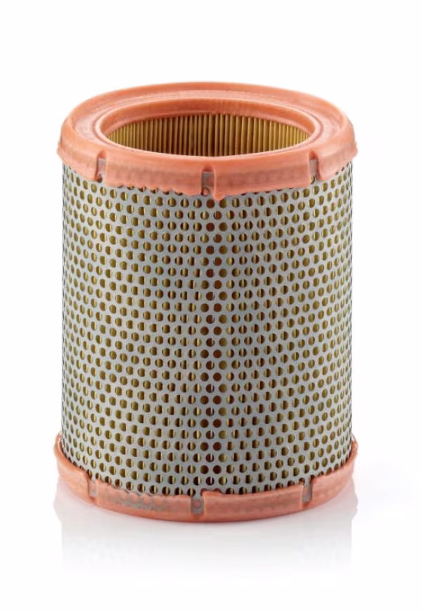 MANN-FILTER Filtro aria