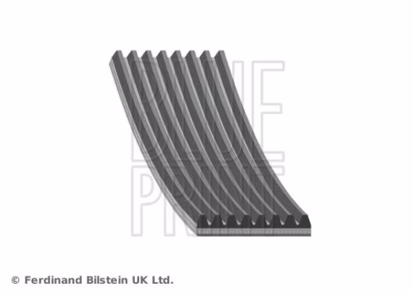 BLUE PRINT Cinghia Poly-V