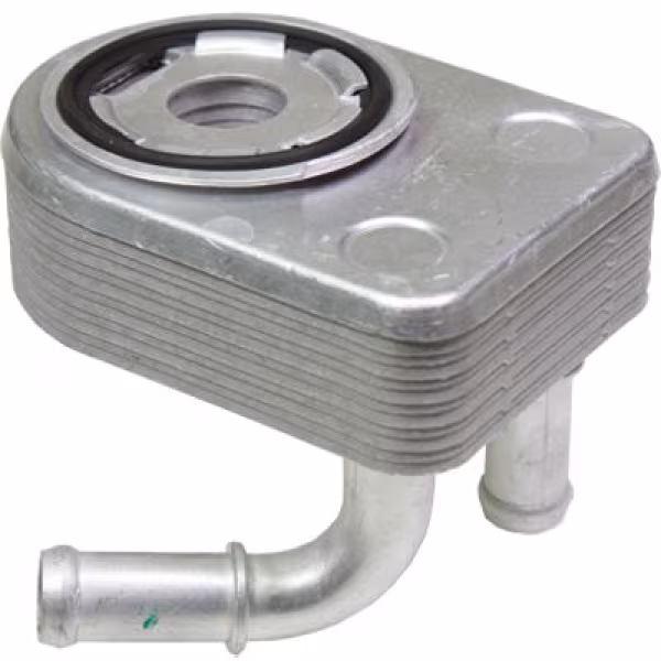 BIRTH Radiatore olio, Olio motore