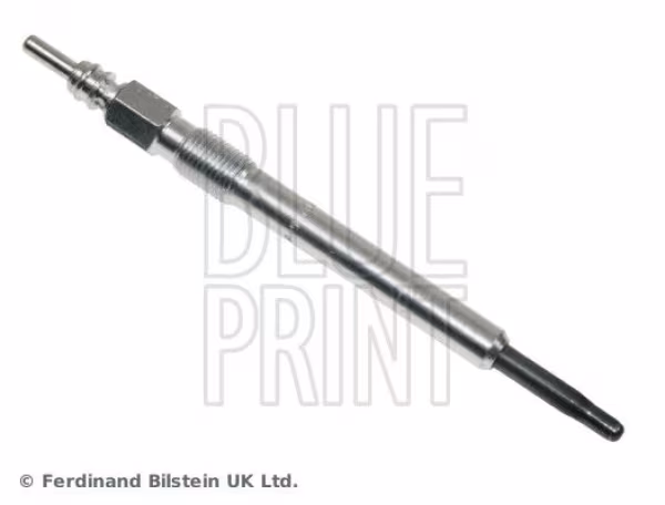 BLUE PRINT Candeletta