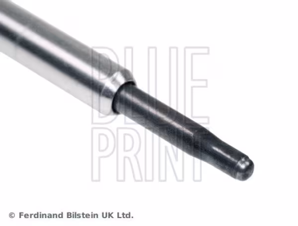 BLUE PRINT Candeletta