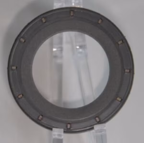 CORTECO Anello tenuta, Differenziale