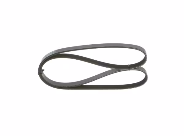 BOSCH Cinghia Poly-V