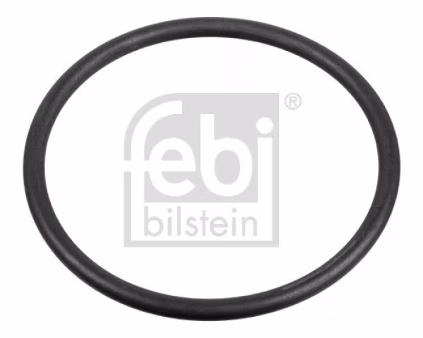 FEBI BILSTEIN Guarnizione, Pompa carburante