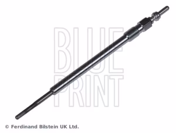 BLUE PRINT Candeletta