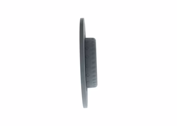 BOSCH Disco freno